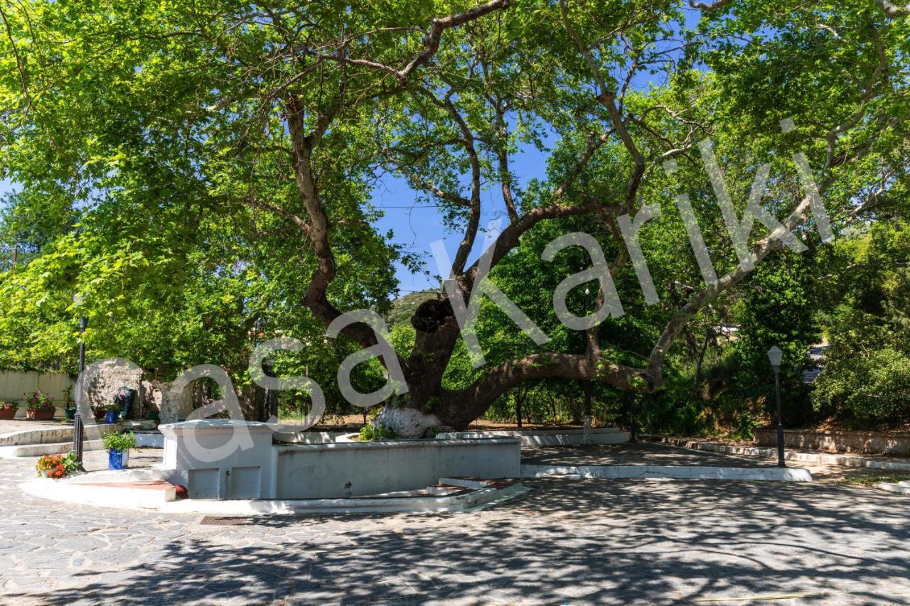 Casa Kariki - Traditional House In Psinthos Exterior photo